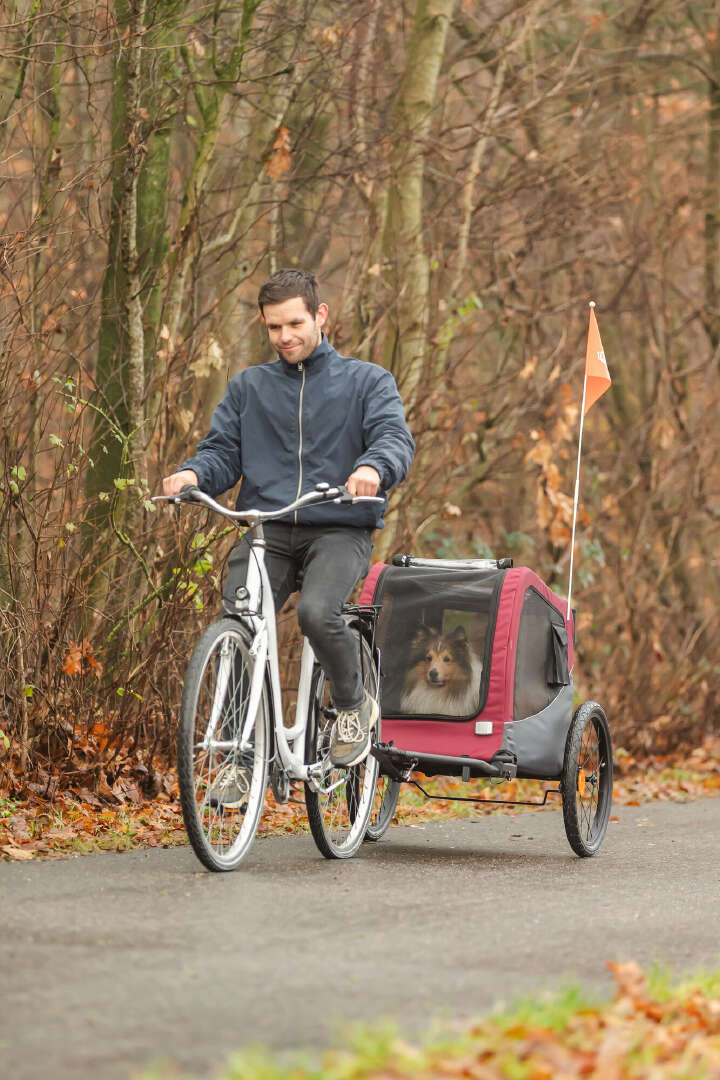 TRIXIE Fahrrad-Anhänger für Hunde